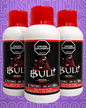 Potenciador Bull energy 500ml